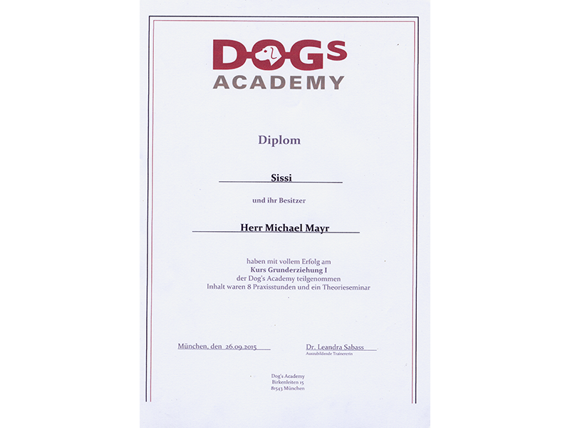 Dogs Academy